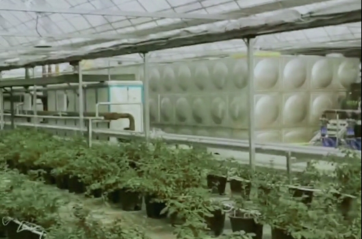 微信截圖_20250730141950